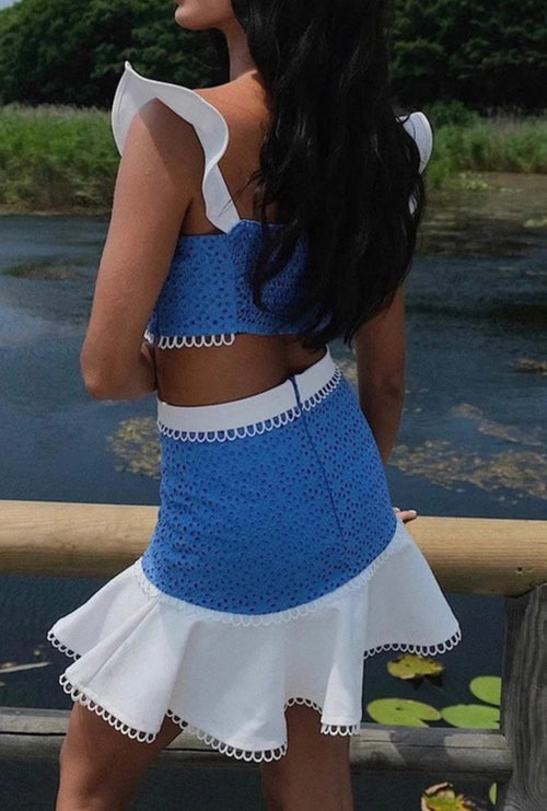 Blue and White Set