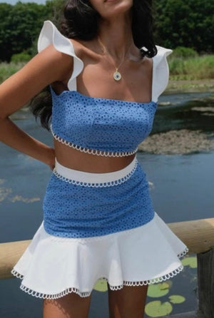 Blue and White Set